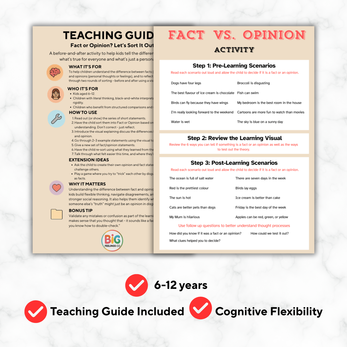 Fact or Opinion? Let’s Sort It Out – Critical Thinking Activity